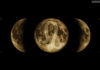 lunen-kalendar-luna-luv-v3