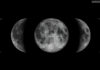 lunen-kalendar-luna-ribi-v3